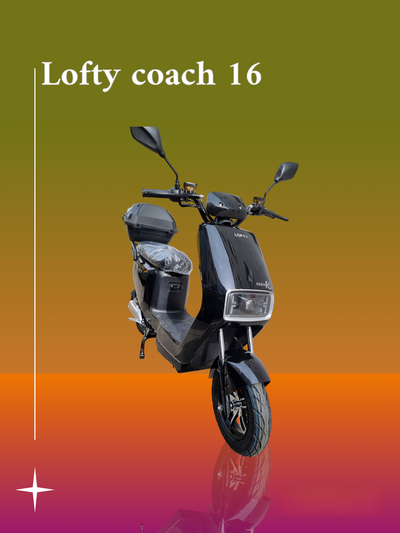 LOFTY COACH 16