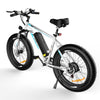 BK15 4.0 Elektrofahrrad mit fetten Reifen