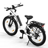 BK16 Elektrofahrrad