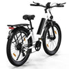 BK16 Elektrofahrrad