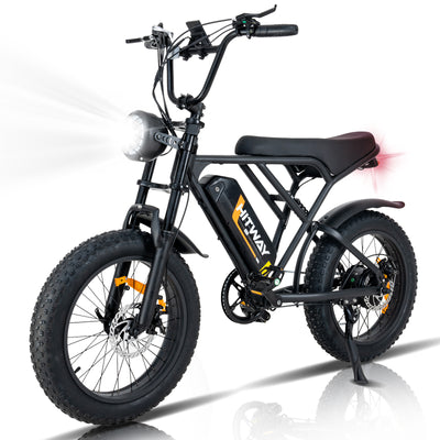BK29 Elektrofahrrad