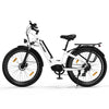 BK16 Elektrofahrrad