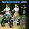 EK6 Folding E-bike Evercross