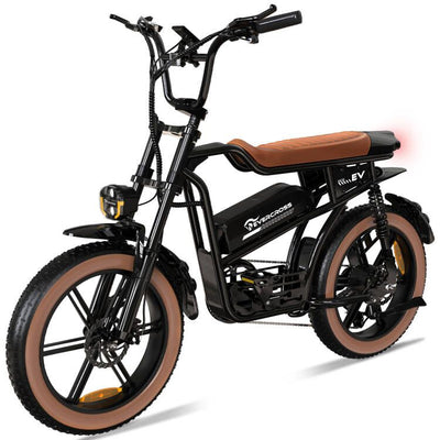 EK30  E-bike EVERCROSS