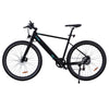 BK19 E-bike
