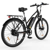 Elektrofahrrad BK27