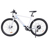 BK19 E-bike