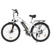 Elektrofahrrad BK27