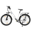 BK18 Elektrofahrrad