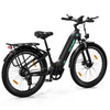 BK16 Elektrofahrrad