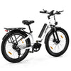 BK16 Elektrofahrrad