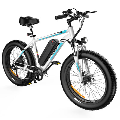 BK15 4.0 Elektrofahrrad mit fetten Reifen