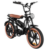 EK30  E-bike EVERCROSS