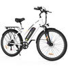 Elektrofahrrad BK27