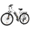 Elektrofahrrad BK27