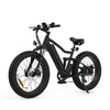 BK9 Electric Bike
