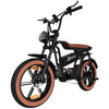 EK30  E-bike EVERCROSS