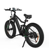 BK9 Electric Bike