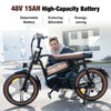 EK30  E-bike EVERCROSS