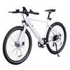 BK19 E-bike