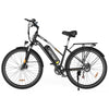 Elektrofahrrad BK27