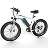 BK15 4.0 Elektrofahrrad mit fetten Reifen