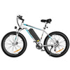 BK15 4.0 Elektrofahrrad mit fetten Reifen