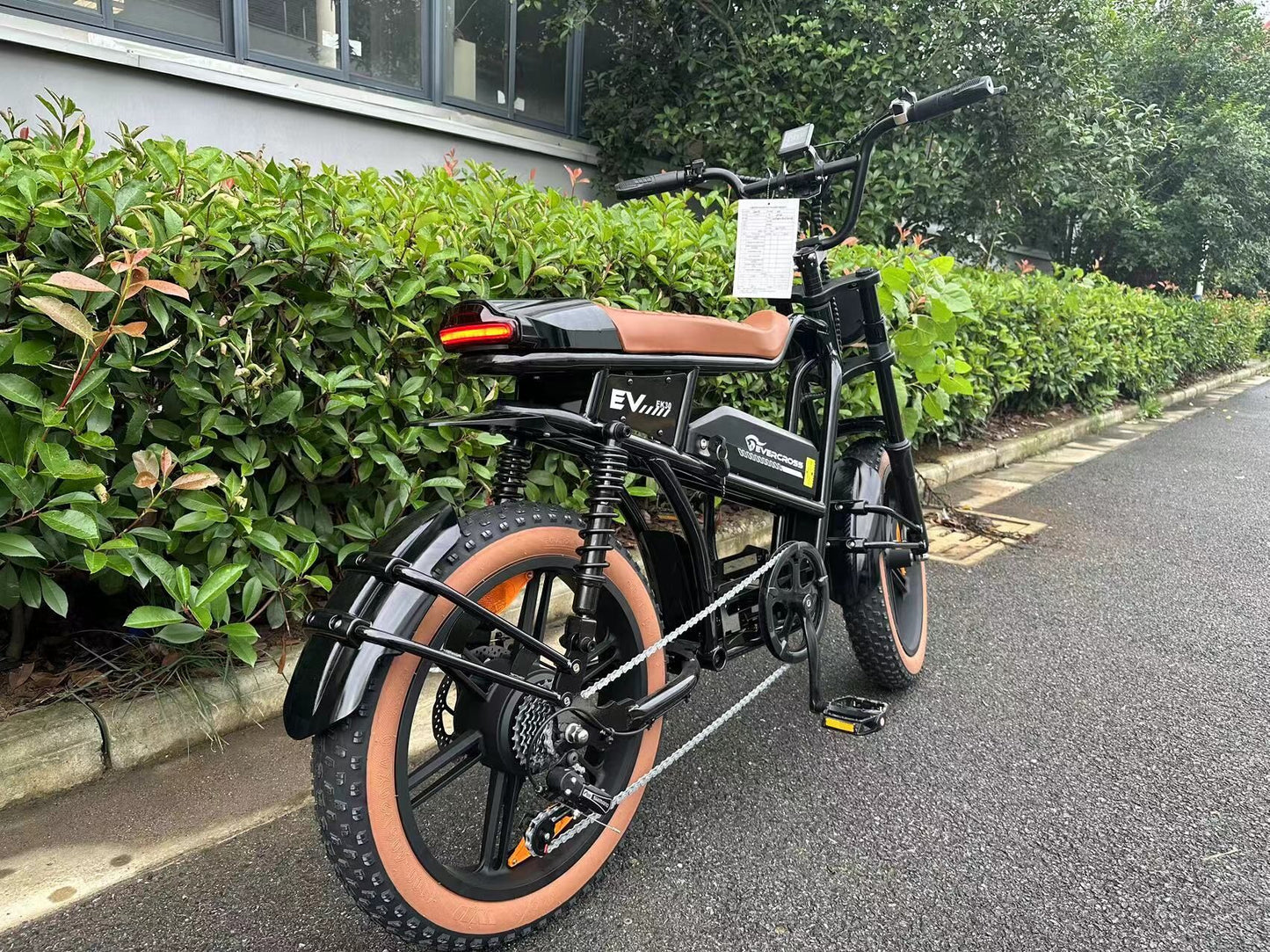 EK30  E-bike EVERCROSS