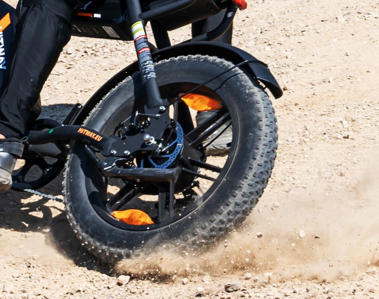 BK29S E-Bike mit Doppelbatterie