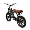BK29S E-Bike mit Doppelbatterie