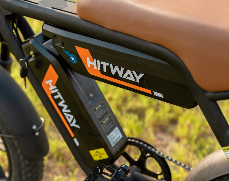 BK29S E-Bike mit Doppelbatterie