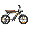 BK29S E-Bike mit Doppelbatterie