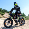 BK29S E-Bike mit Doppelbatterie