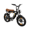 BK29S E-Bike mit Doppelbatterie