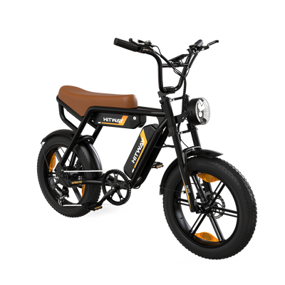 BK29S E-Bike mit Doppelbatterie