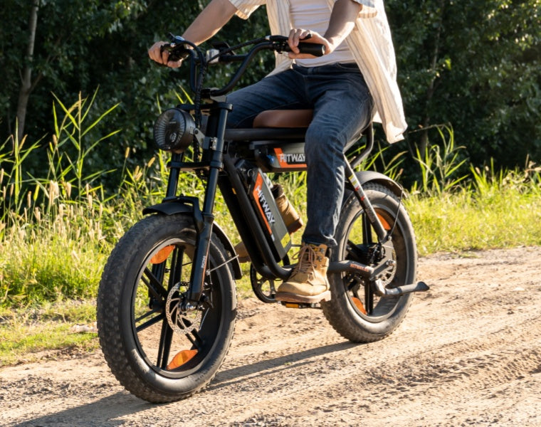 BK29S E-Bike mit Doppelbatterie