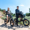 BK29S E-Bike mit Doppelbatterie