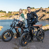 BK29S E-Bike mit Doppelbatterie