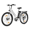 Elektrofahrrad BK8S