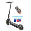 ADEL PAYAM 10 Inch  Electric  Scooter