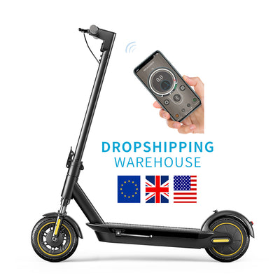ADEL PAYAM 10 Inch  Electric  Scooter