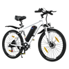 BK15 E-bike 26*3inch