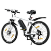 BK15 E-bike 26*3inch