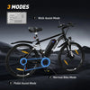 BK15 E-bike 26*3inch