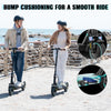 RCB R17 Electric Scooter for Adult