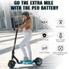 RCB R17 Electric Scooter for Adult
